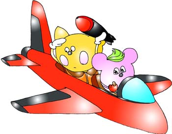 fly
